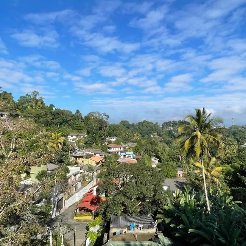 D Lion Studio Kandy